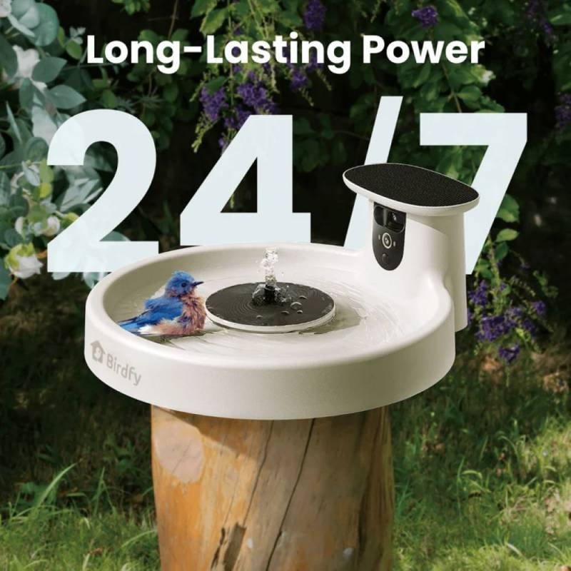 3 Exciting Birdfy Gadgets Deliver the Ultimate Backyard Birdwatching Upgrade 6 Birdfy Bath Pro