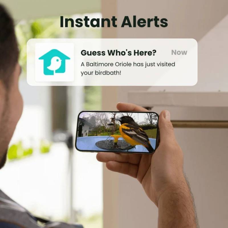 3 Exciting Birdfy Gadgets Deliver the Ultimate Backyard Birdwatching Upgrade 7 Birdfy Bath Pro