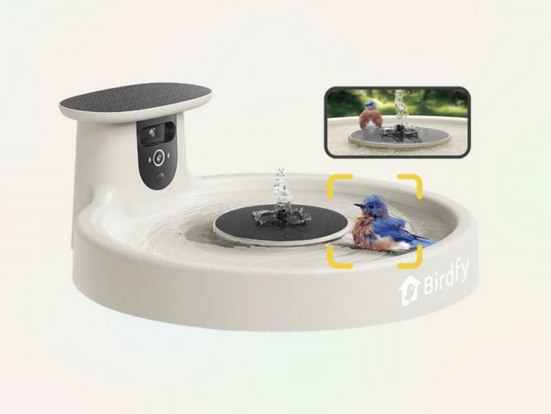 3 Exciting Birdfy Gadgets Deliver the Ultimate Backyard Birdwatching Upgrade 1 Birdfy Bath Pro