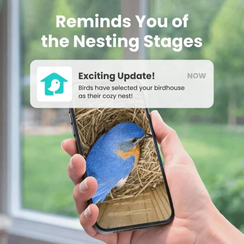 3 Exciting Birdfy Gadgets Deliver the Ultimate Backyard Birdwatching Upgrade 13 Birdfy Nest Duo