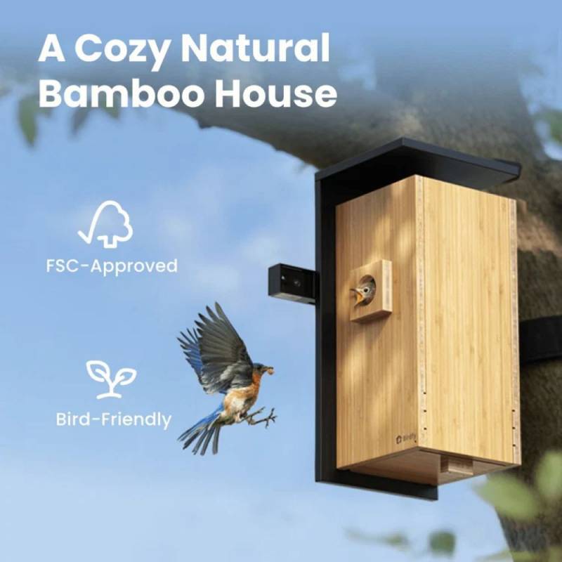 3 Exciting Birdfy Gadgets Deliver the Ultimate Backyard Birdwatching Upgrade 10 Birdfy Nest Duo