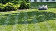 Husqvarna Automower 420 iQ Review: The Safe Bet in Robotic Mowing