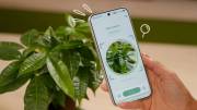 PlantSenso