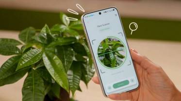 PlantSenso