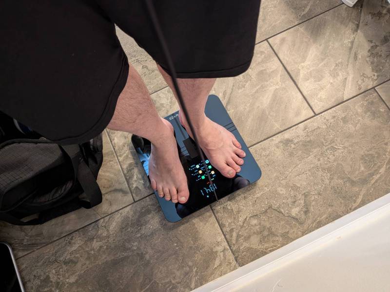 Wyze Scale BodyScan Review: Tracking Health Data Made Easy 10 Wyze Scale BodyScan live readings while taking a measurement