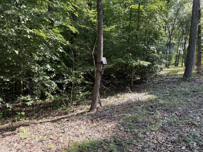 GardePro Link 1.0 Long-Range WiFi Trail Camera Review: The Trail Camera System I Liked Enough to Buy More of Myself 14 GardePro R3 Pro Trail Cam #5
