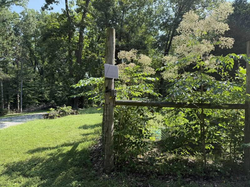 GardePro Link 1.0 Long-Range WiFi Trail Camera Review: The Trail Camera System I Liked Enough to Buy More of Myself 15 GardePro R3 Pro Trail Cam #4