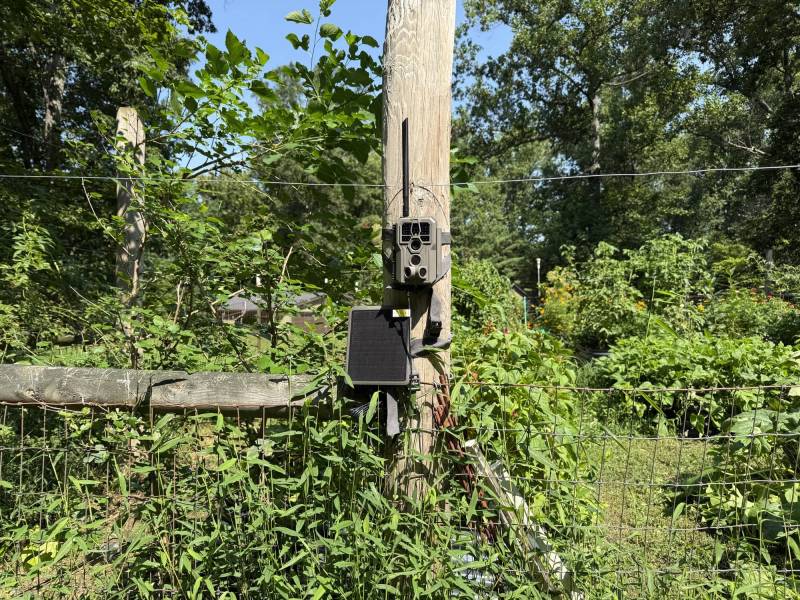 GardePro Link 1.0 Long-Range WiFi Trail Camera Review: The Trail Camera System I Liked Enough to Buy More of Myself 16 GardePro R3 Pro Trail Cam #3