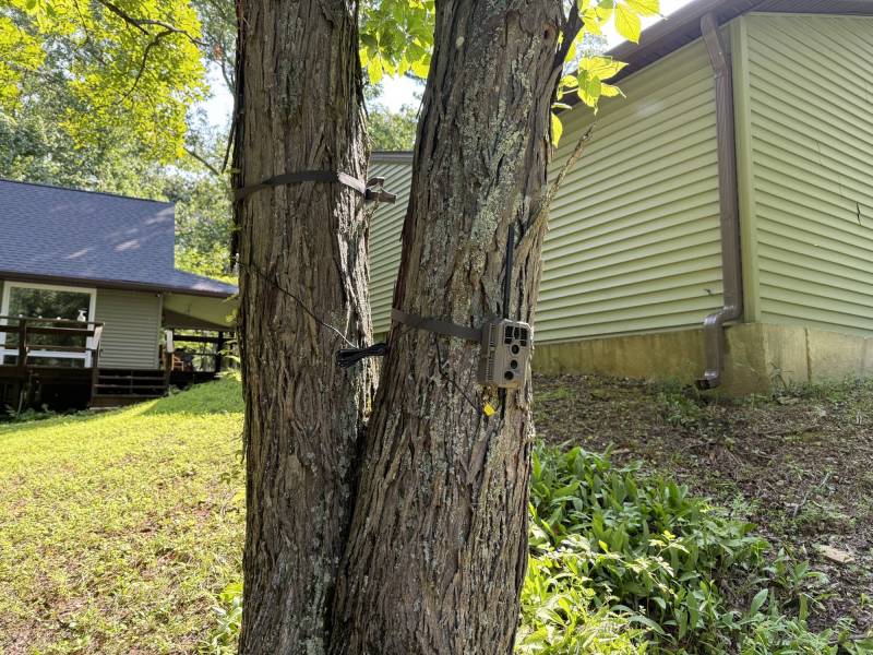 GardePro Link 1.0 Long-Range WiFi Trail Camera Review: The Trail Camera System I Liked Enough to Buy More of Myself 17 GardePro R3 Pro Trail Cam #2