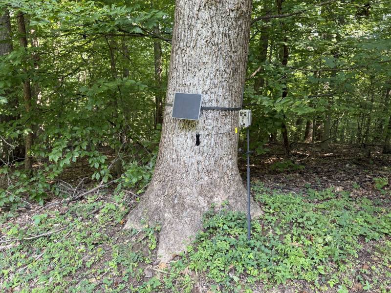 GardePro Link 1.0 Long-Range WiFi Trail Camera Review: The Trail Camera System I Liked Enough to Buy More of Myself 18 GardePro R3 Pro Trail Cam #1