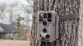 GardePro R3 Pro trail camera attached to a tree