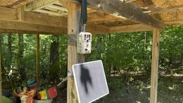 GardePro X66 Pro mounted on a post