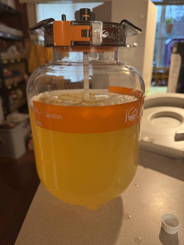 iGulu F1 Smart All-in-One Home Brewer Review: High-Tech Homebrewing Gets Easier, but Not Quite Effortless 3 The iGulu F1 Tritan keg