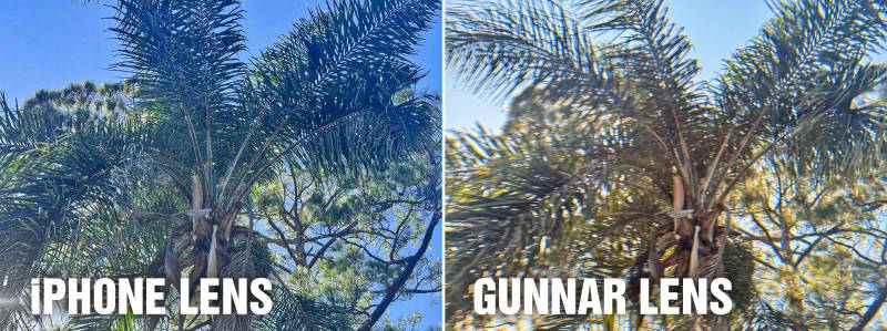 GUNNAR Tomb Raider Croft Glasses Review: Prescription Sunglasses That Finally Made Me Ditch the Clip-Ons 6 Example of the difference between an iPhone lens and a GUNNAR lens.