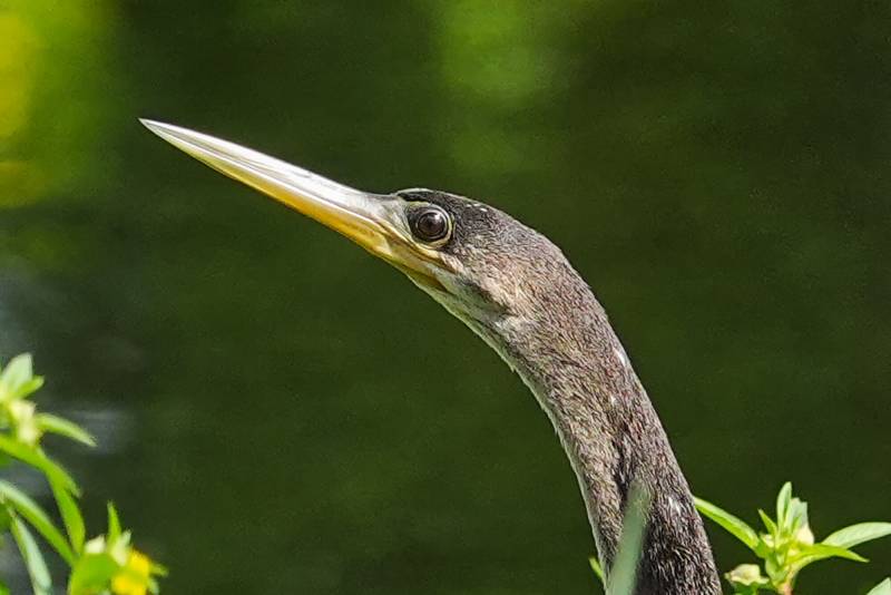 Sony RX10V 25x High Zoom Digital Camera Review: The Ultimate Travel Camera Finally Gets an Update 26 Sony RX10V 25x High Zoom Camera