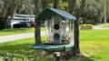 Kiwibit Bird Feed 2 Pro