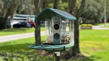 Kiwibit Bird Feed 2 Pro