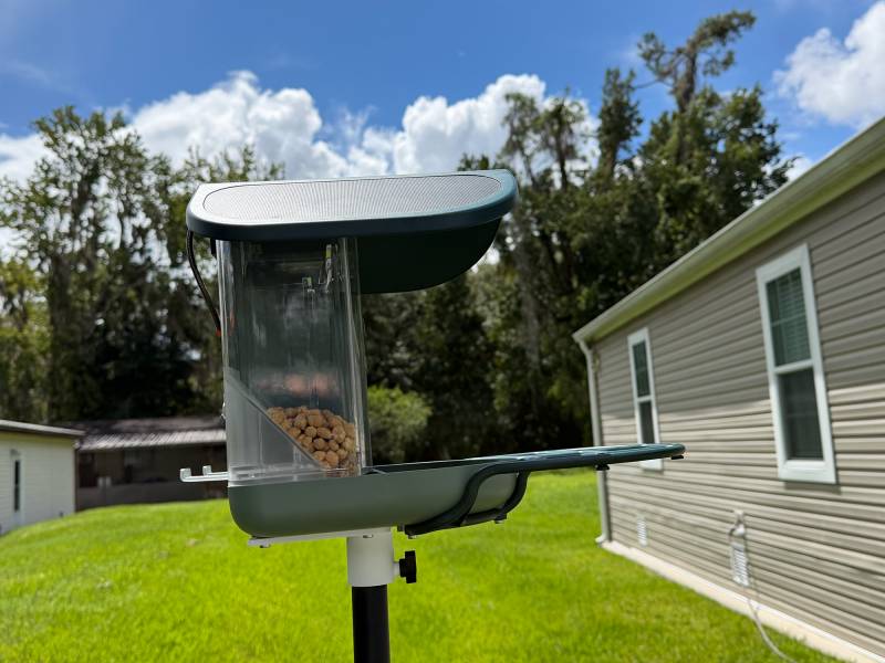Kiwibit Bird Feeder 2 Pro 4K AI Camera with Solar Panel Review: Smart Enough to Know Who's Stopping by for Breakfast 5 Kiwibit Bird Feed 2 Pro
