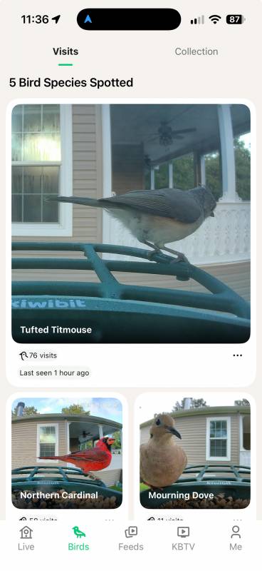 Kiwibit Bird Feeder 2 Pro 4K AI Camera with Solar Panel Review: Smart Enough to Know Who's Stopping by for Breakfast 12 Kiwibit app