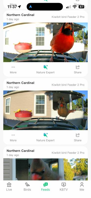 Kiwibit Bird Feeder 2 Pro 4K AI Camera with Solar Panel Review: Smart Enough to Know Who's Stopping by for Breakfast 13 Kiwibit app