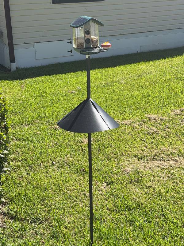 Kiwibit Bird Feeder 2 Pro 4K AI Camera with Solar Panel Review: Smart Enough to Know Who's Stopping by for Breakfast 10 Kiwibit Bird Feed 2 Pro
