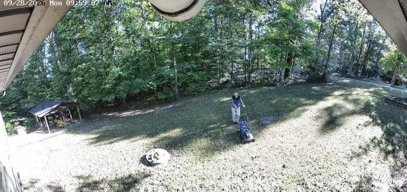 NovorikX 40V Electric Cordless Lawn Mower Review: Lightweight, Simple, and Surprisingly Capable 13 Mowing with the NovorikX