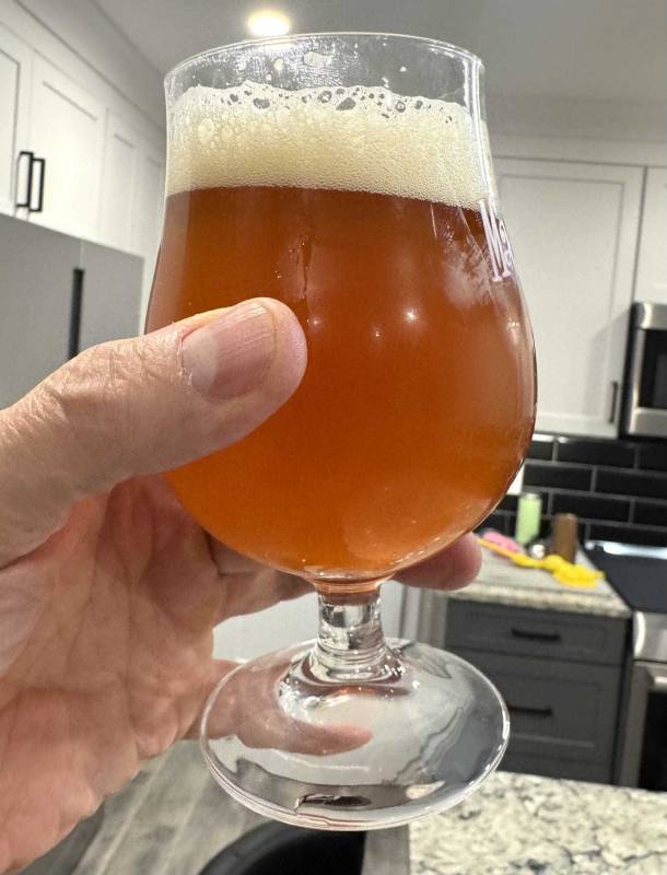Elysian Brewing Pumpkin Pack Review: Bring on the Fall Festivities with This Party-Ready Sampler! 8 Elysian Brewing Great Pumpkin