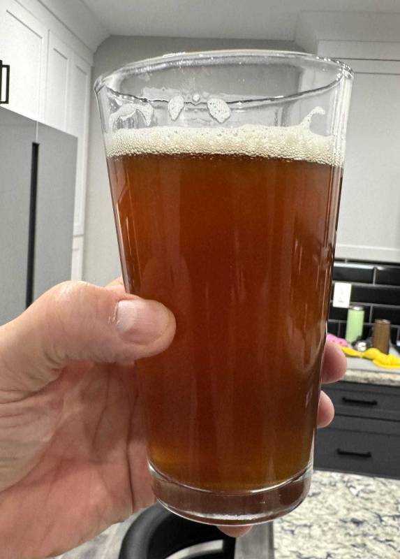 Elysian Brewing Pumpkin Pack Review: Bring on the Fall Festivities with This Party-Ready Sampler! 4 Elysian Brewing Night Owl