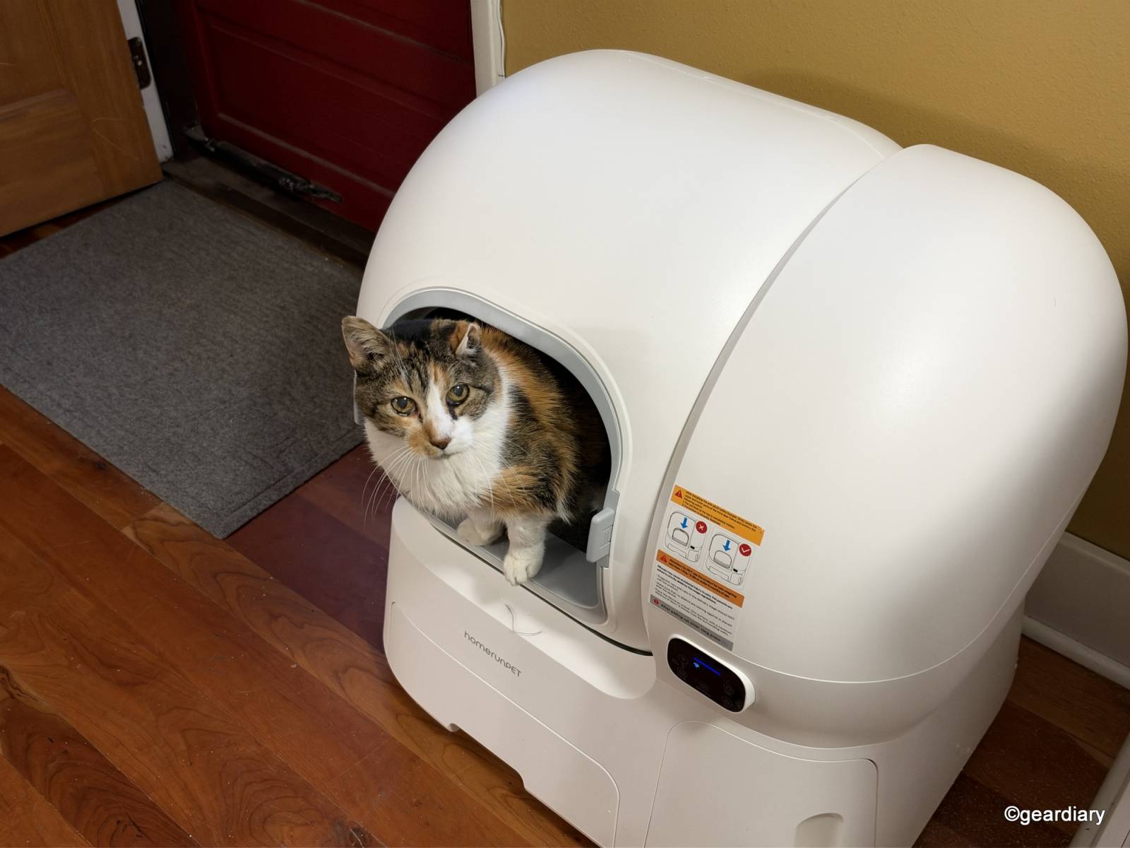 Bella using the HomerunPET CS106