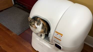 Bella using the HomerunPET CS106