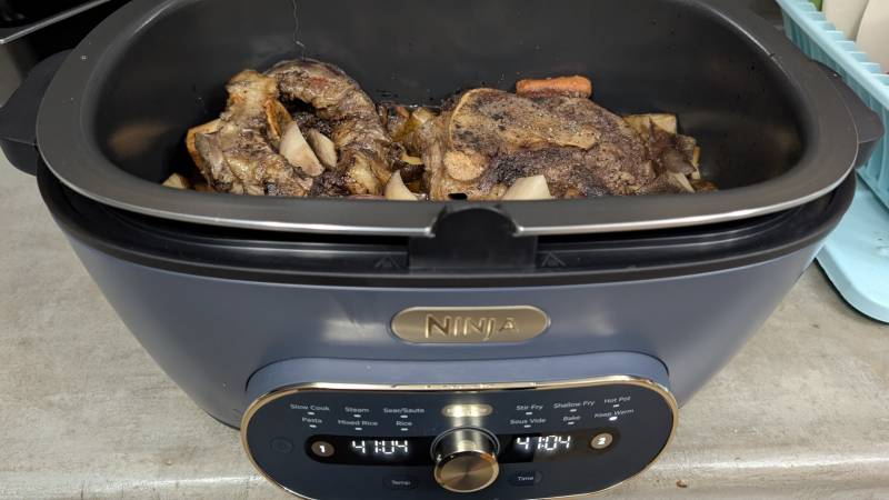 Ninja MultiPot XL 12-in-1 DualZone Multicooker Review: The Slow Cooker That Sears, Fries, and Cooks Two Meals at Once 4 Ninja MultiPot XL 12-in-1 DualZone Multicooker