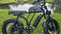 Talonebike Talon T787 Patriot Limited Edition Dual Motor Ebike Review: More Motors, More Batteries, More Fun