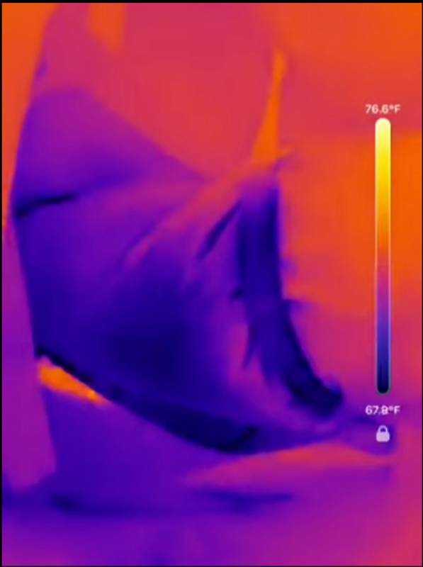 RISION Magic Pro AI Dual-Light Smartphone Thermal Camera Review: Turn Your Phone into a Thermal Camera to Uncover Hidden Hot Spots 13 RISION Magic Pro AI Dual-Light Smartphone Thermal Camera Review: Turn Your Phone into a Thermal Camera to Uncover Hidden Hot Spots