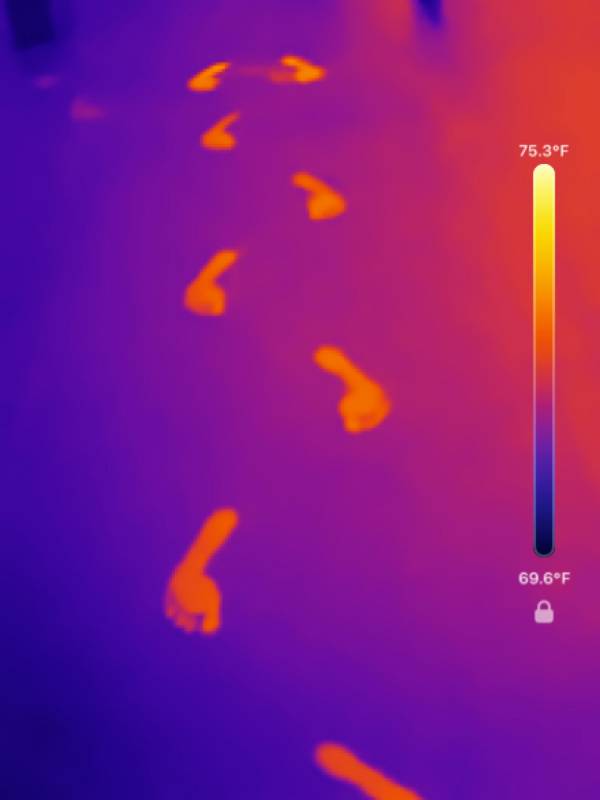 RISION Magic Pro AI Dual-Light Smartphone Thermal Camera Review: Turn Your Phone into a Thermal Camera to Uncover Hidden Hot Spots 17 RISION Magic Pro