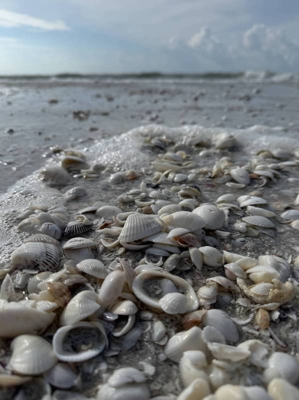The Travel Gadgets I Took to Sanibel Island — and What I’d Pack Again 4 The Travel Gadgets I Took to Sanibel Island — and What I’d Pack Again