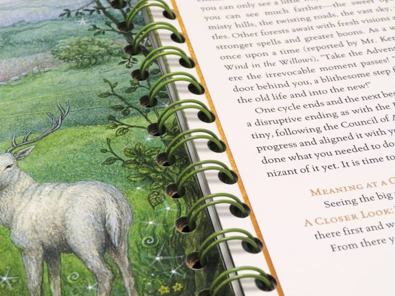 Forest of Enchantment Tarot Kit: A Gorgeous Germanic Folklore Deck That Invites You to Read Beyond the Cards 14 Forest of Enchantment Tarot book