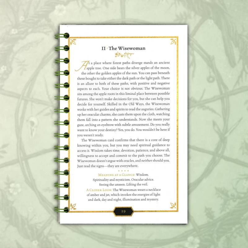 Forest of Enchantment Tarot Kit: A Gorgeous Germanic Folklore Deck That Invites You to Read Beyond the Cards 12 Forest of Enchantment Tarot book